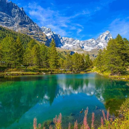 La Lupa Apartment - In The Heart Of Aosta With Car Box 외부 사진