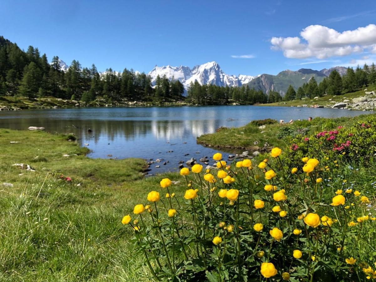 La Lupa Apartment - In The Heart Of Aosta With Car Box 외부 사진