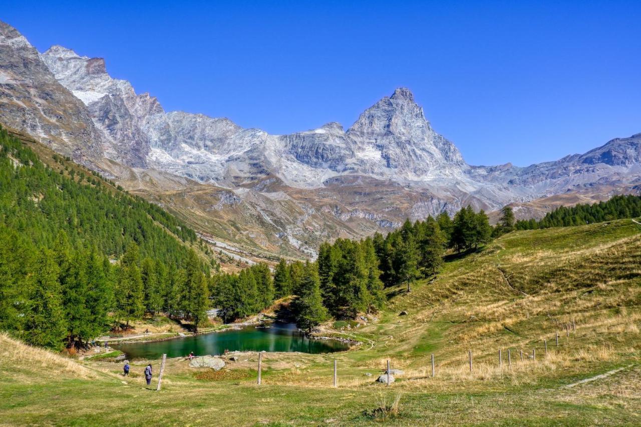 La Lupa Apartment - In The Heart Of Aosta With Car Box 외부 사진
